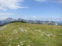 Vorderskopf-Plateau
