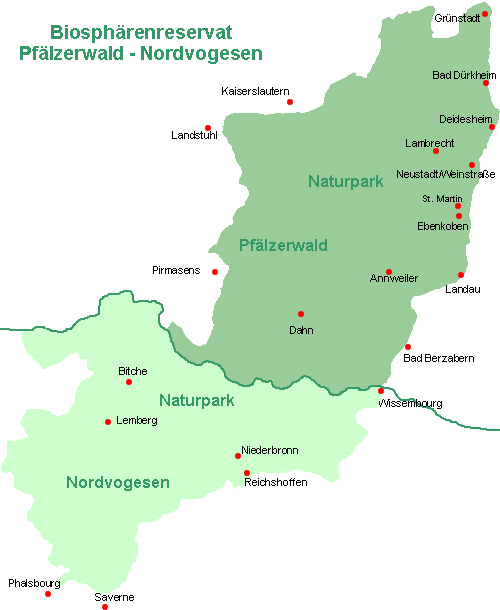 Biospärenreservat Pfälzerwald - Nordvogesen