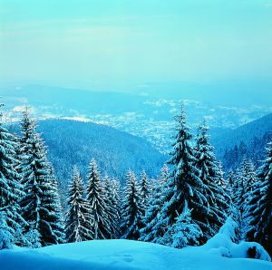 Winterlandschaft bei Steinach